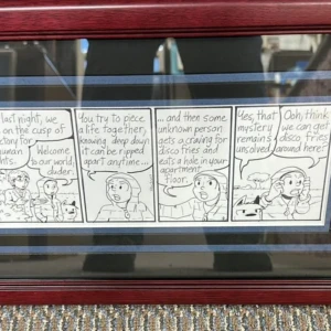 framed comic strip
